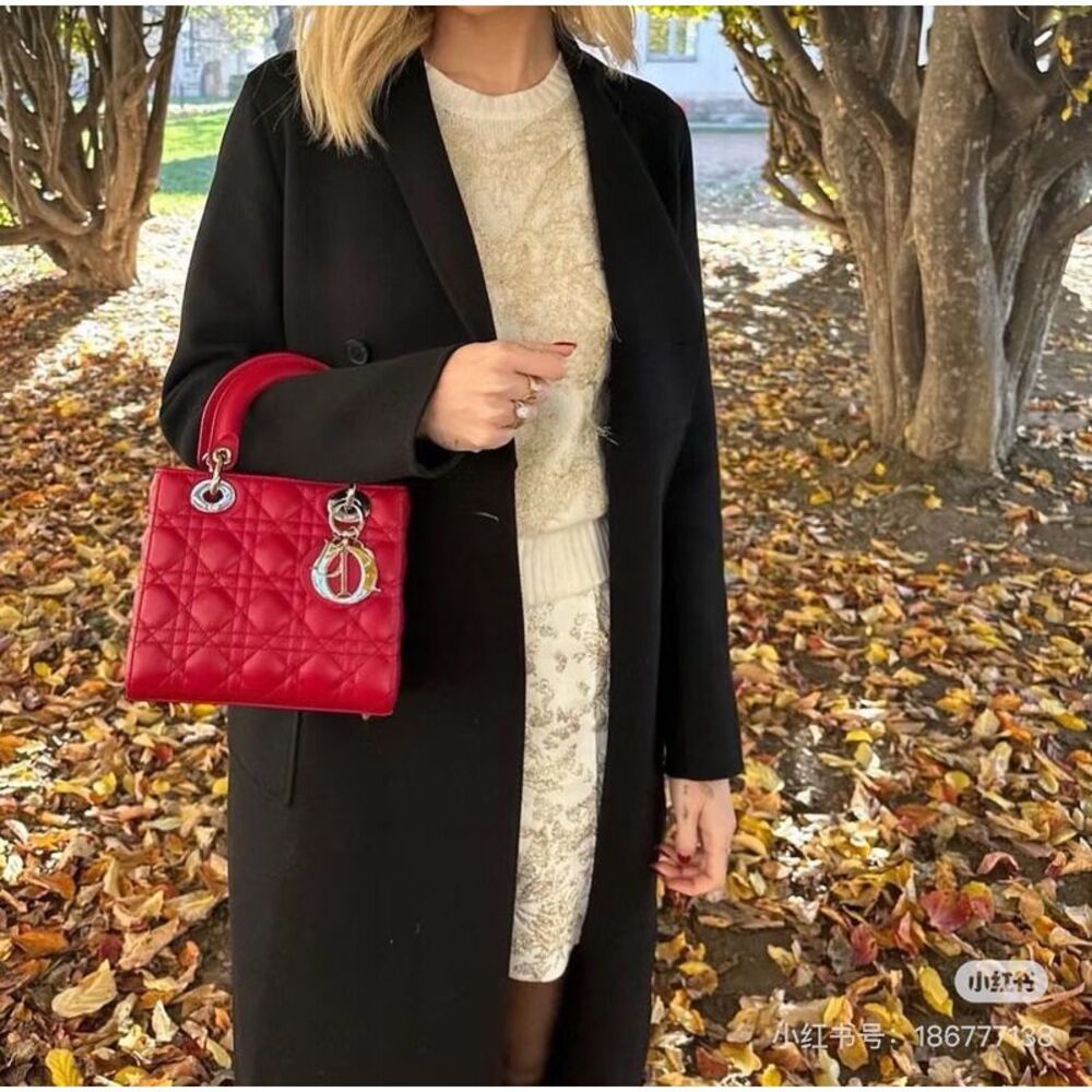 Dior Women Pre-Loved Bag Very Good Condition - Picture 9 of 9
